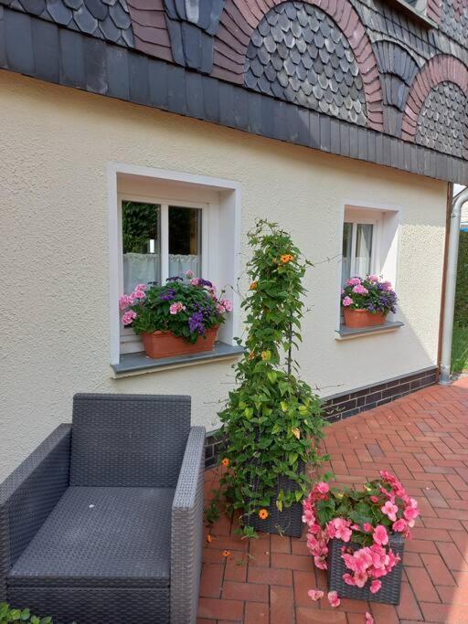 Maisonette-Fewo Fritz Mit Infrarotsauna Grosschönau Exterior foto